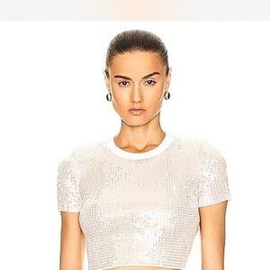 Alexander Wang Silver Sequin Short Sleeve Crop Top